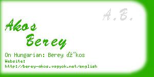 akos berey business card